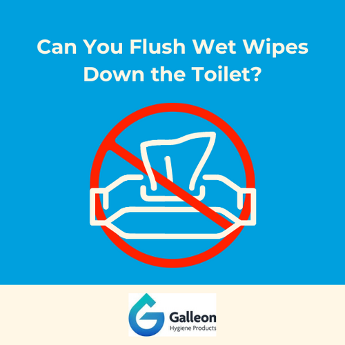 Can You Flush Wet Wipes Down The Toilet? - Galleon Supplies Blog