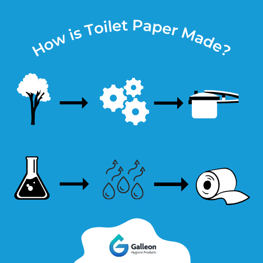 How is Toilet Roll Made? Find out Now