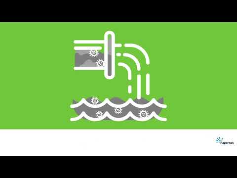 Biodegradable Toilet Roll