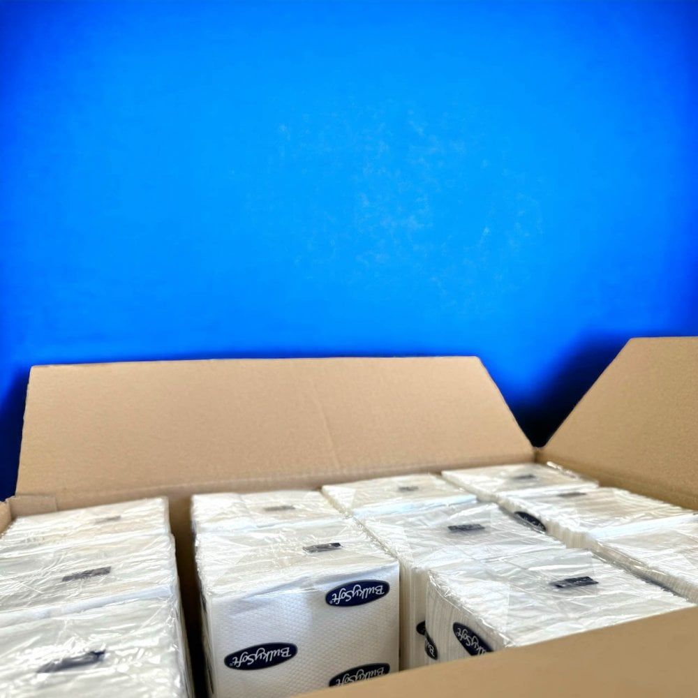 2 Ply - White - C-Fold - Paper Hand Towels