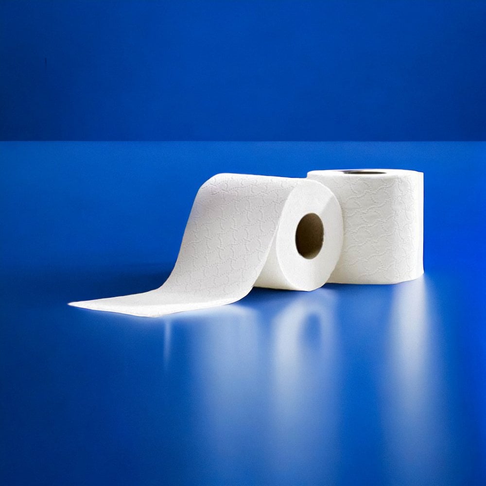 Quilted Toilet Paper - 3 ply