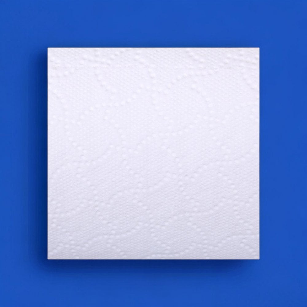 Quilted Toilet Paper - 3 ply