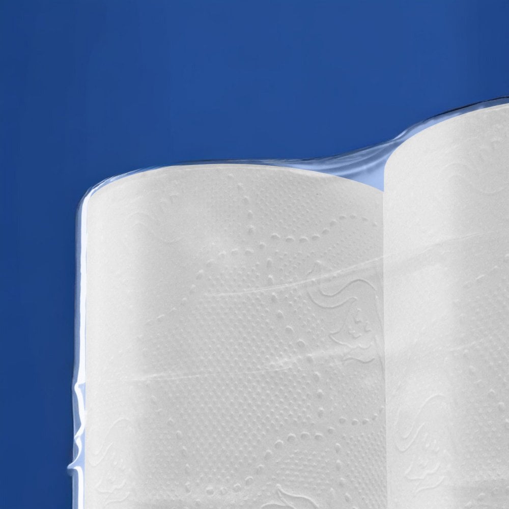 320 Sheet Toilet Rolls - 2 Ply - Embossed - Pallet | 66 Cases