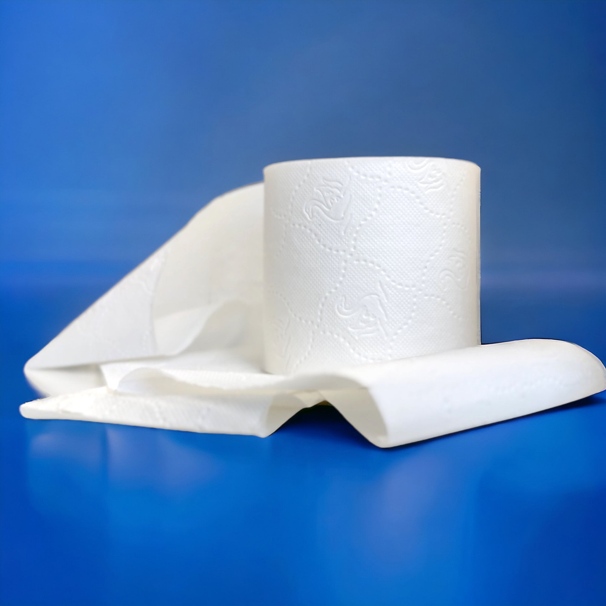 Luxury Soft 2ply Quilted Toilet Rolls | 60 Cases