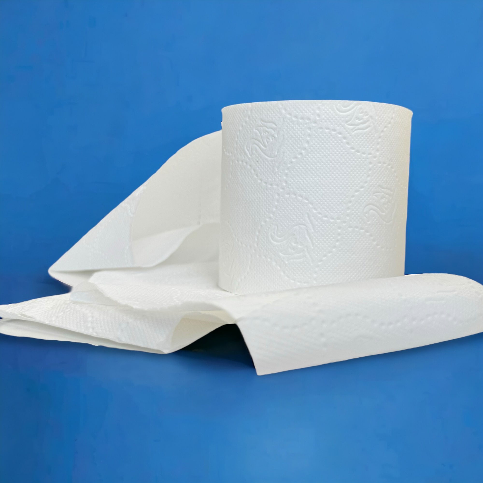 Luxury Soft 2ply Quilted Toilet Rolls | 60 Cases