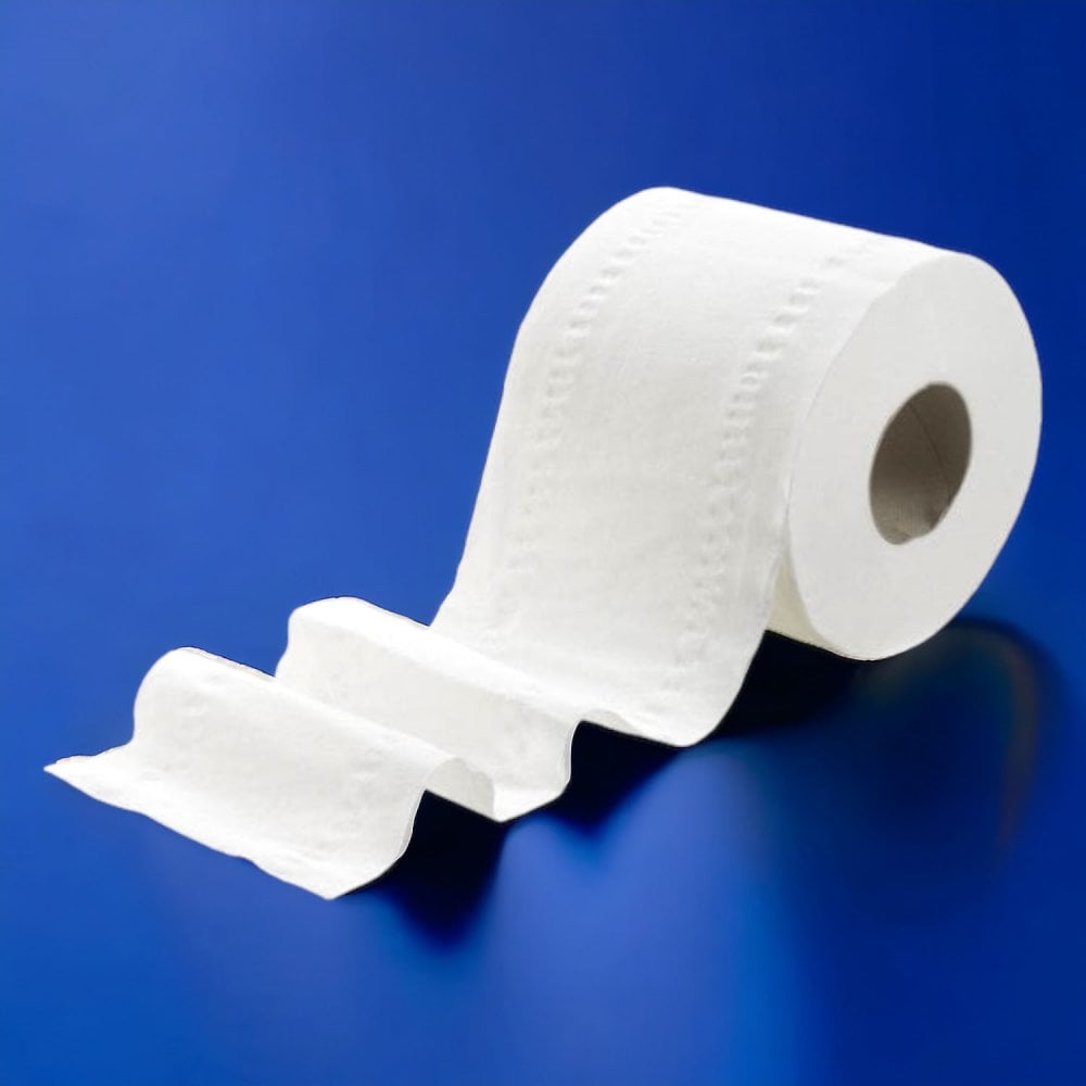 Bulk Toilet Paper