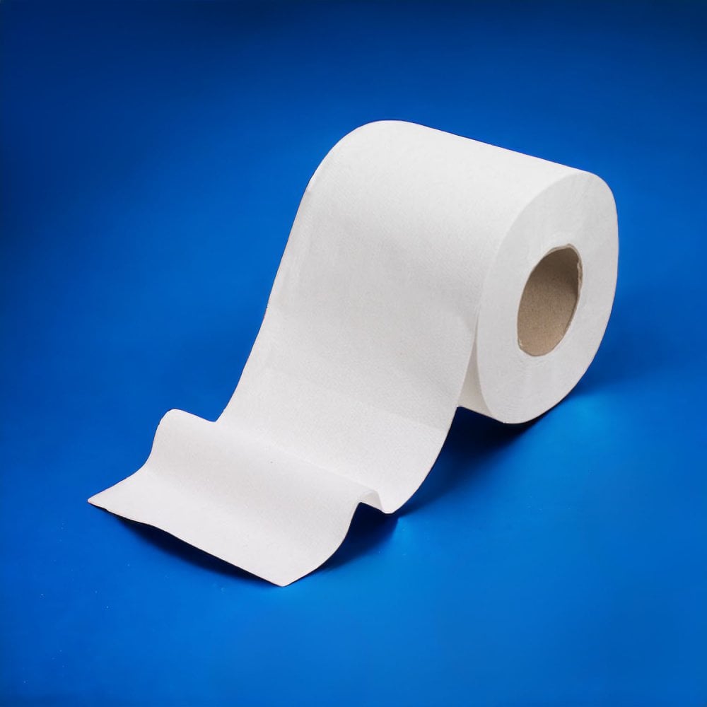 Bulk Toilet Paper