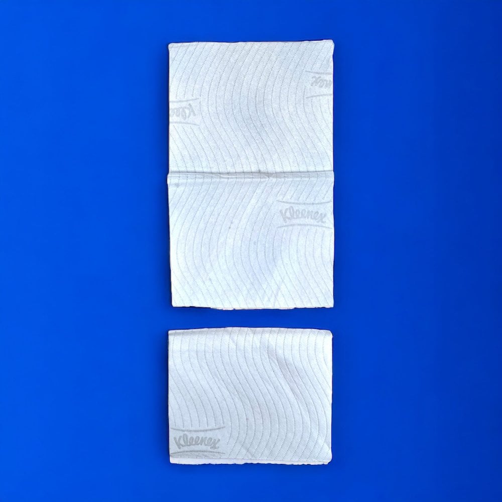 Bulk Pack Toilet Tissue - 2 Ply