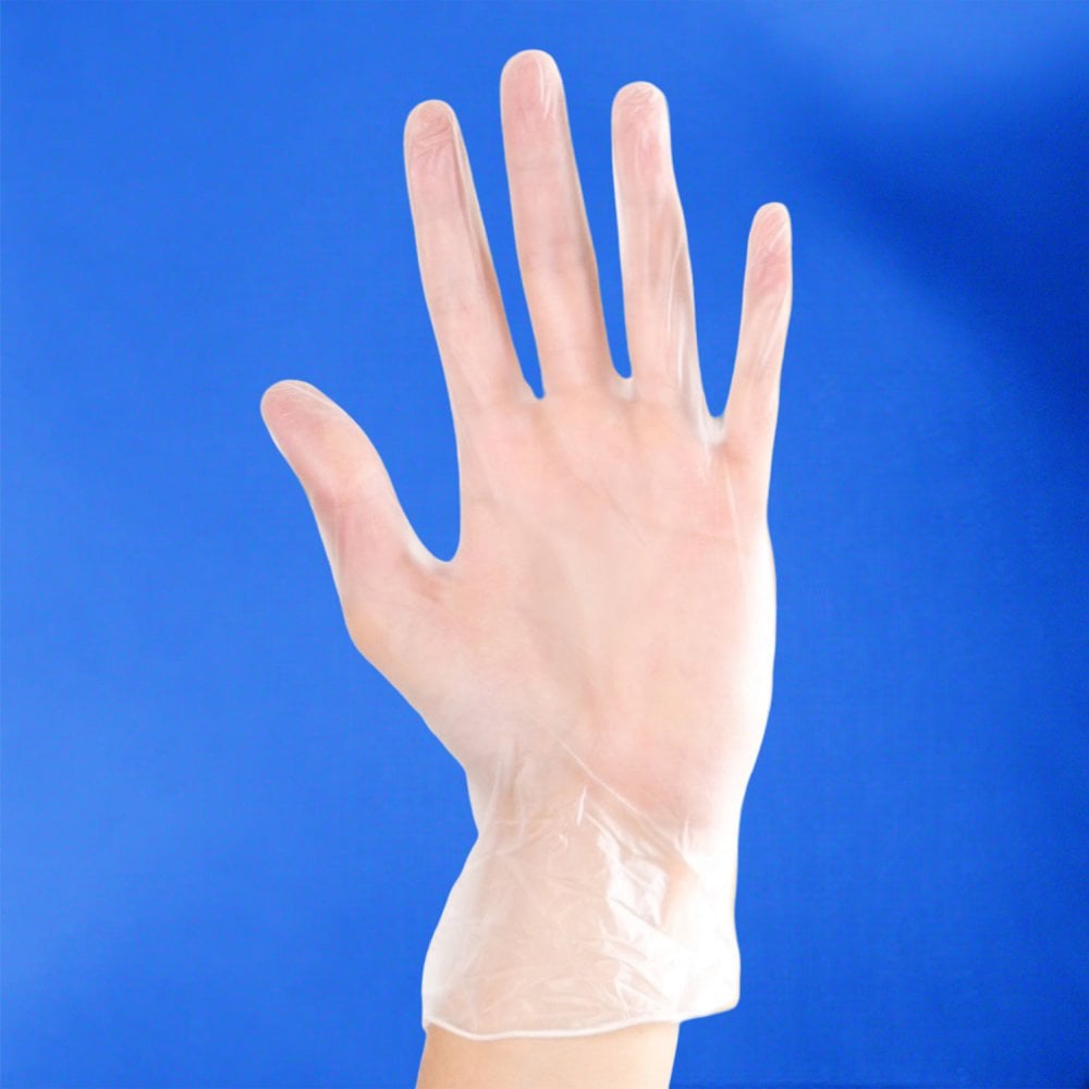 Delight - Vinyl Gloves - Powdered