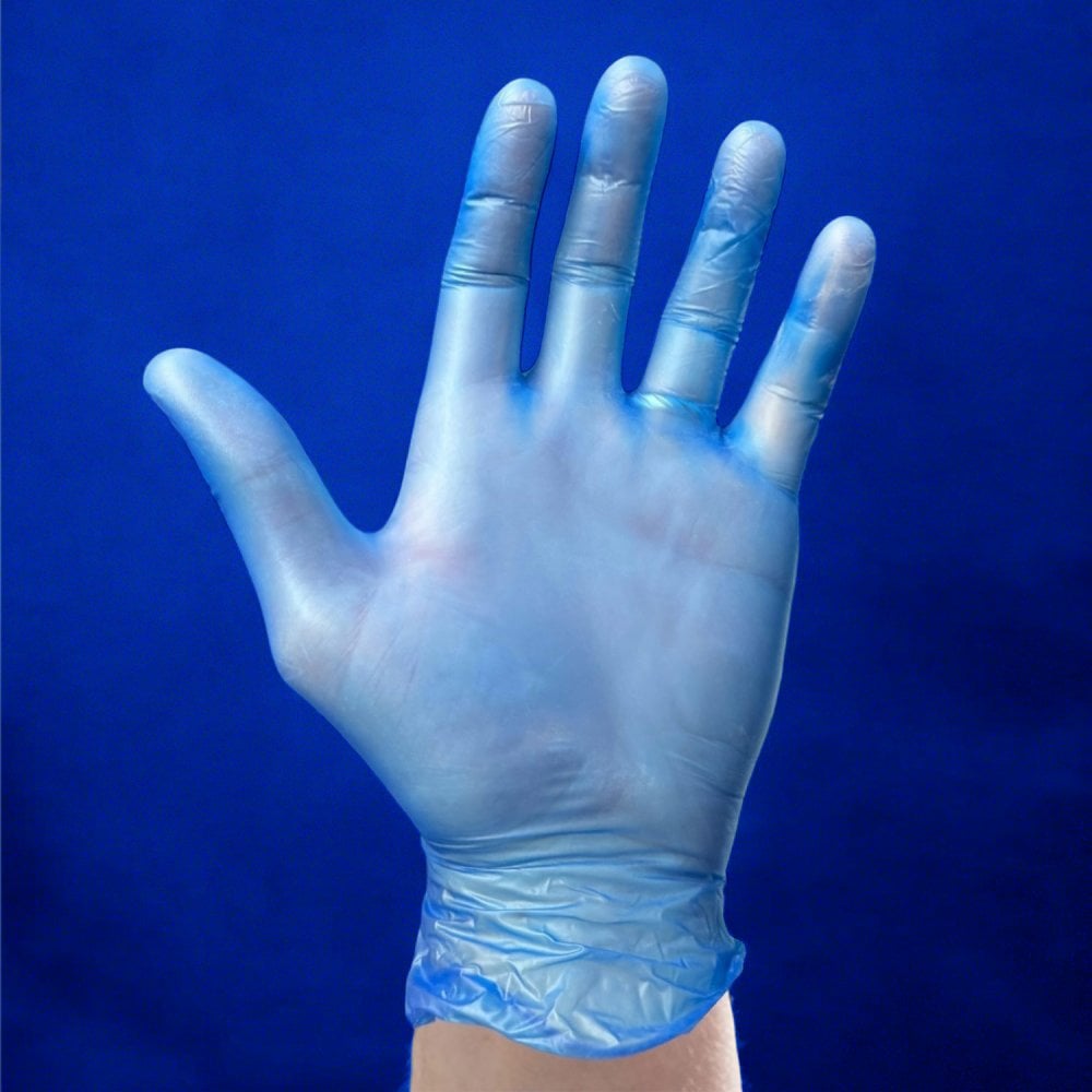 Blue Vinyl Gloves - Powdered