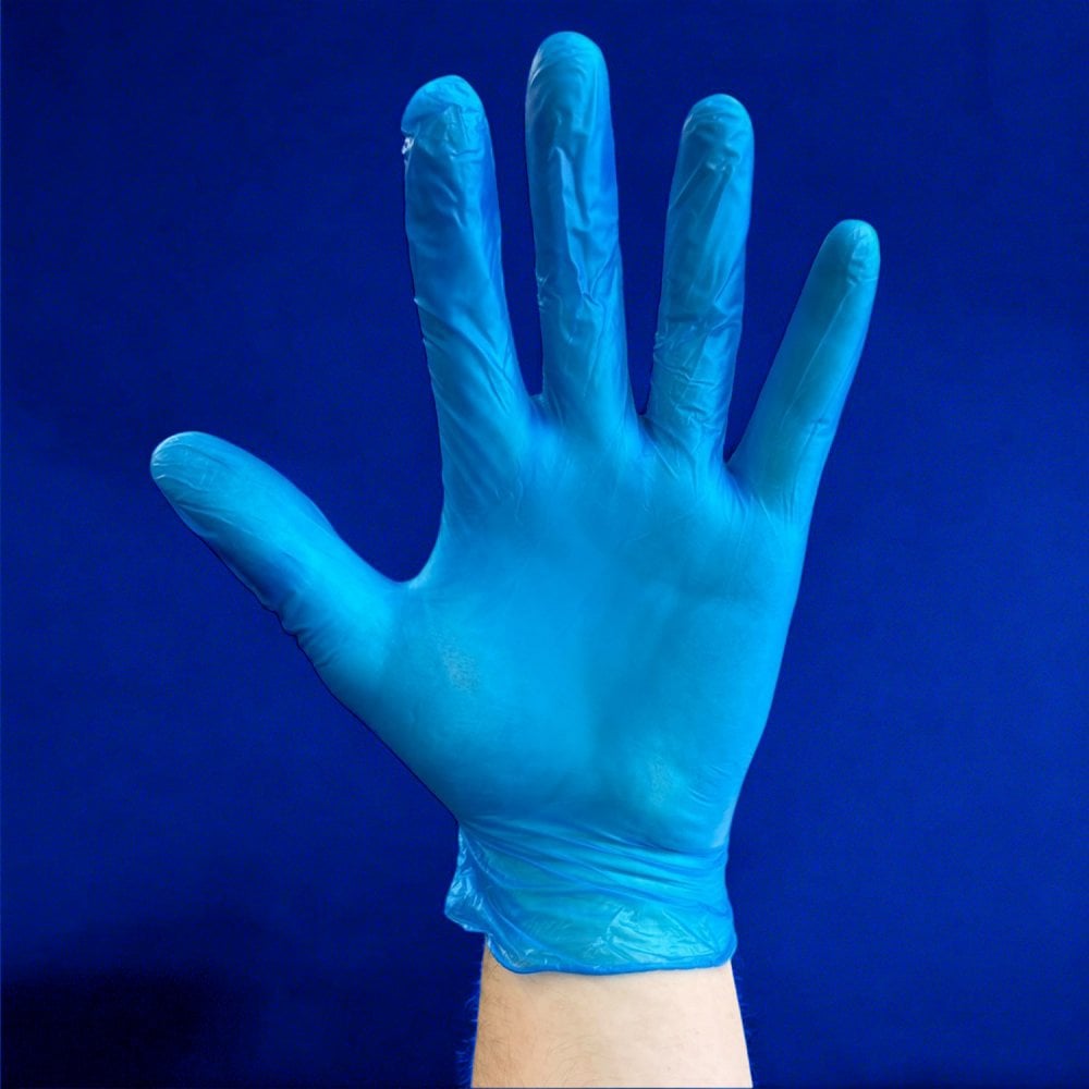 Blue Vinyl Gloves - Powder Free