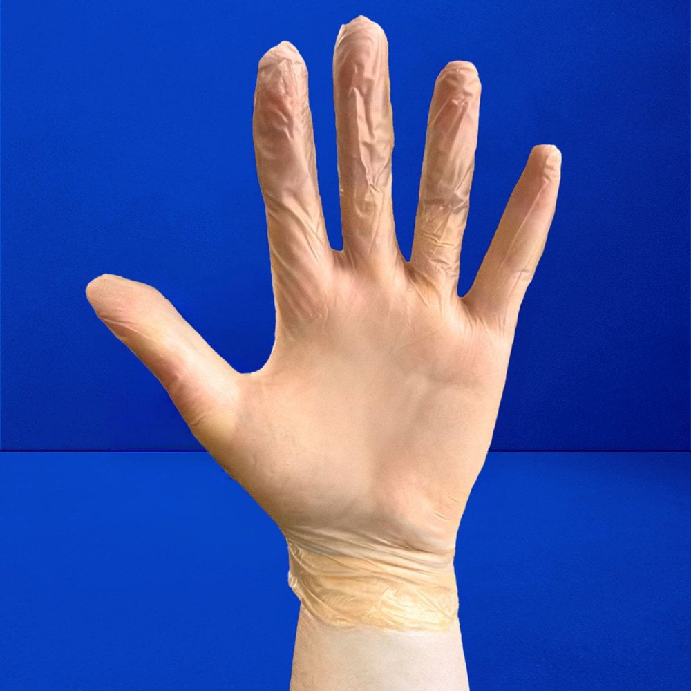 Clear Vinyl Gloves - Powder Free