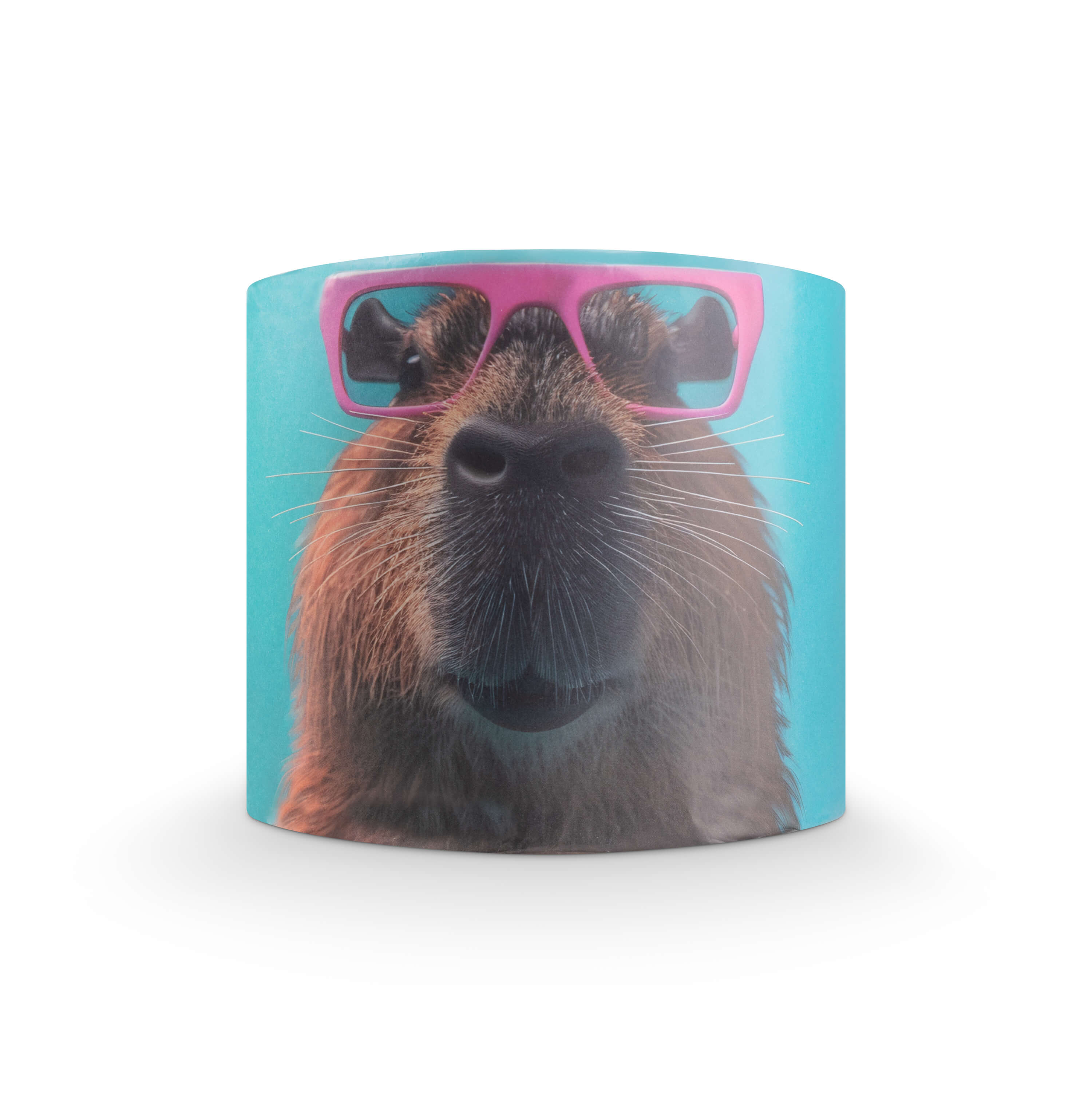 Animal Collection #1 Bamboo Toilet Rolls x 24